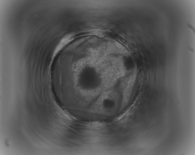 X0000097870198200804041558