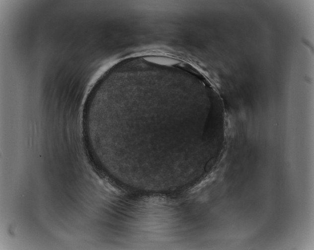 X0000097870200200804041558