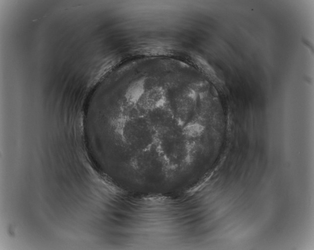 X0000097870202200804041558