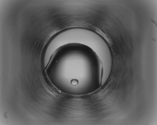 X0000097870203200804041558