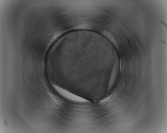 X0000097870204200804041558