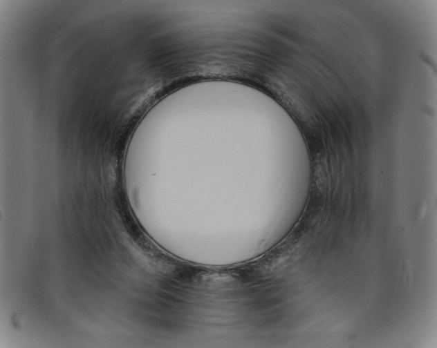 X0000097870208200804041558