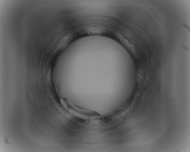 X0000097870209200804041558