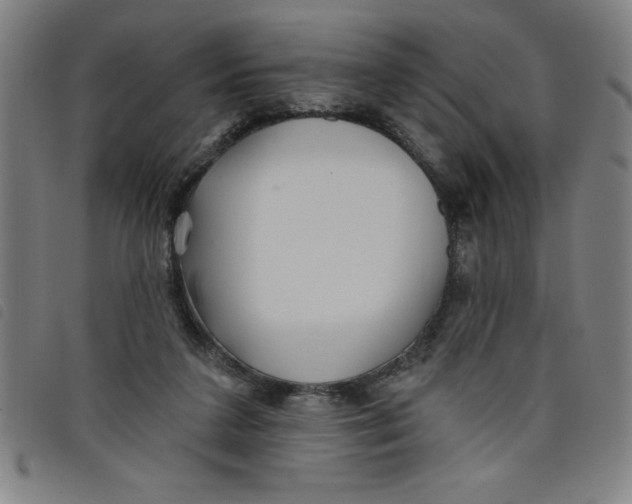 X0000097870211200804041558