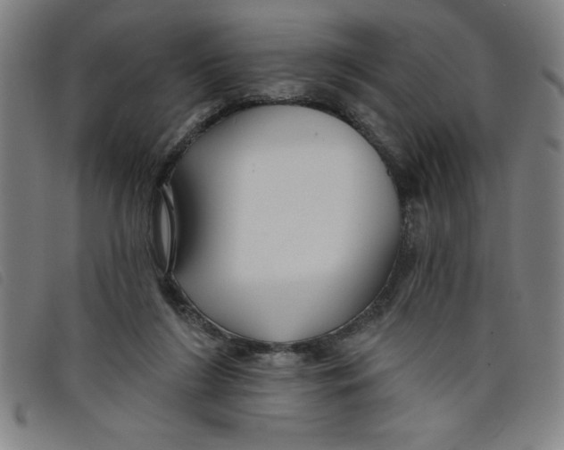X0000097870212200804041558