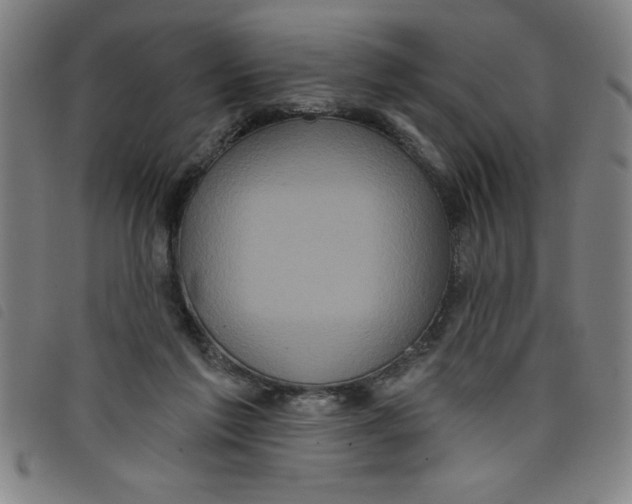 X0000097870213200804041558
