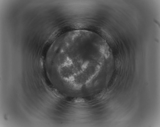 X0000097870214200804041558