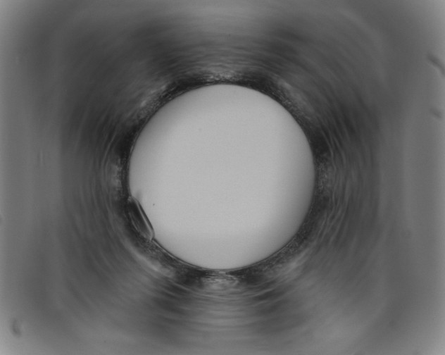 X0000097870215200804041558