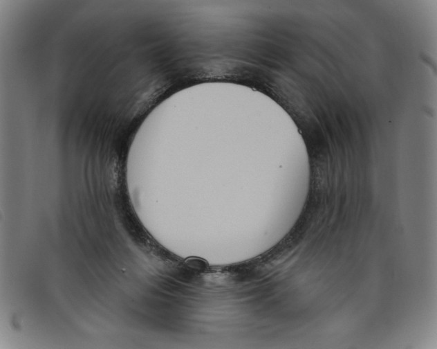X0000097870216200804041558