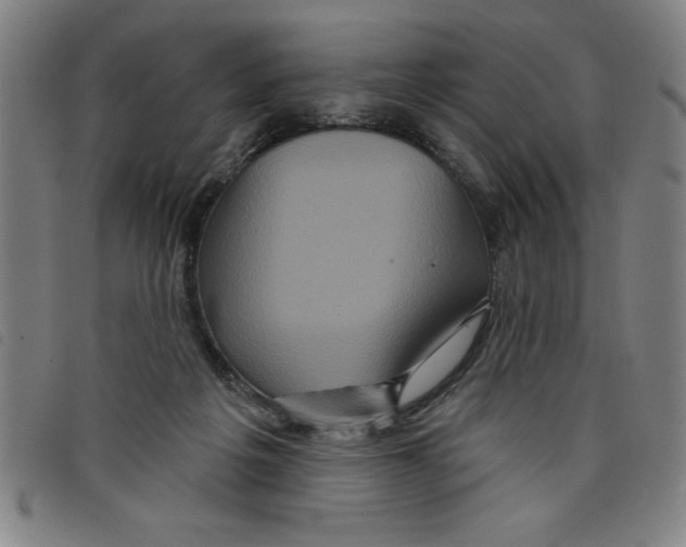 X0000097870217200804041558