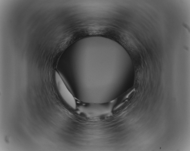 X0000097870219200804041558