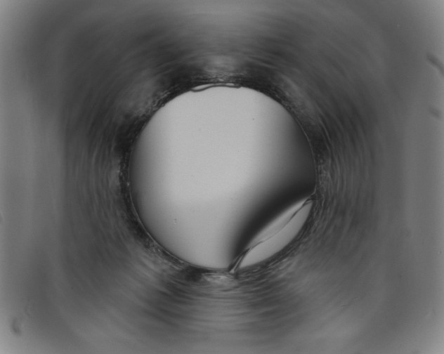 X0000097870221200804041558