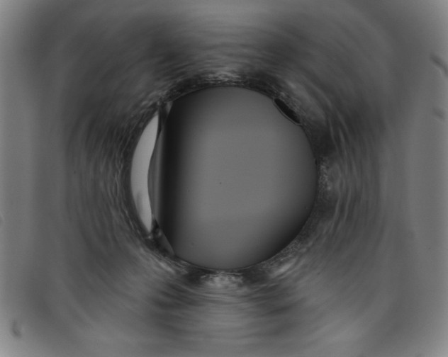 X0000097870223200804041558