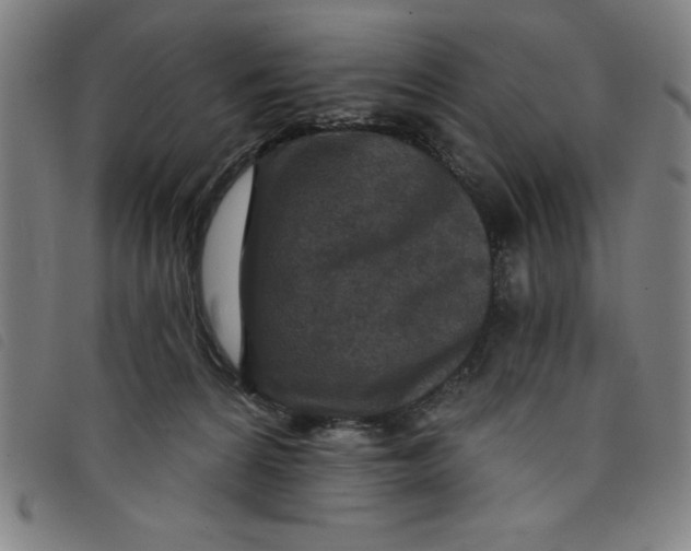 X0000097870224200804041558