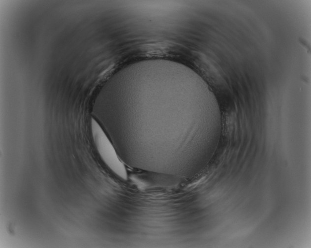 X0000097870228200804041558
