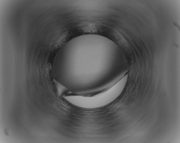 X0000097870229200804041558