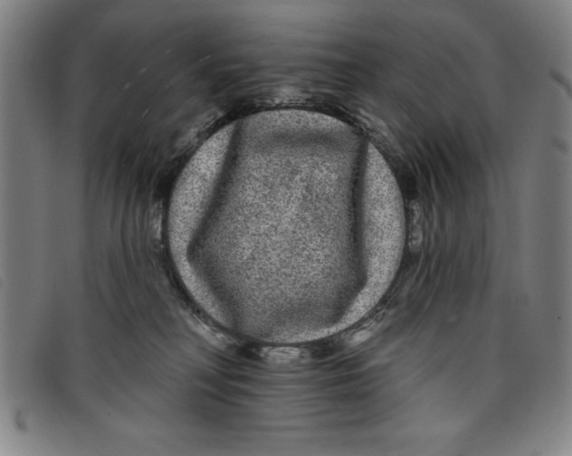 X0000097870230200804041558