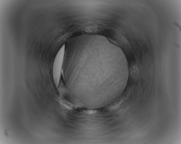 X0000097870233200804041558