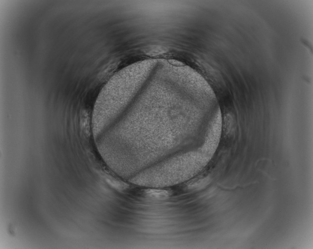 X0000097870234200804041558