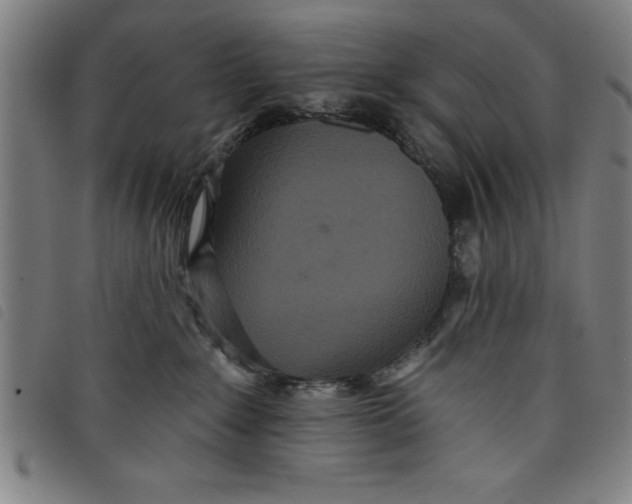X0000097870235200804041557