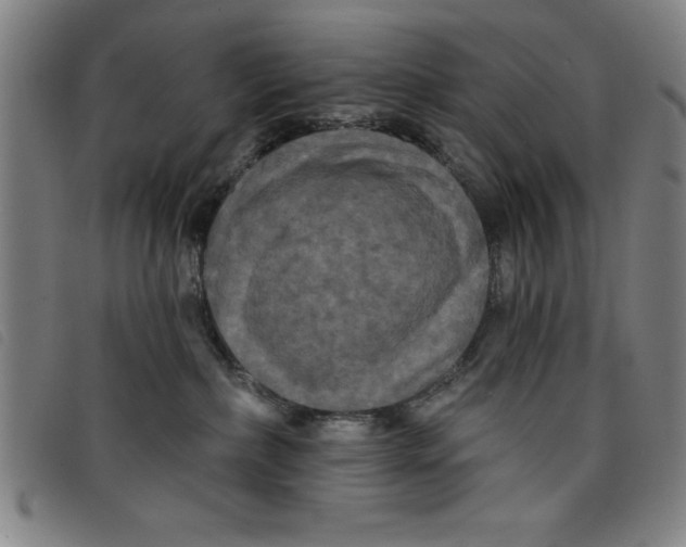 X0000097870236200804041557