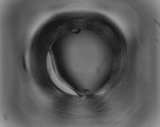 X0000097870239200804041557