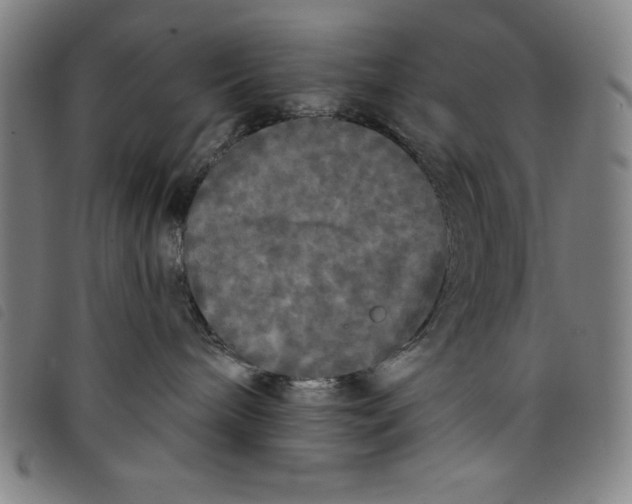 X0000097870240200804041557