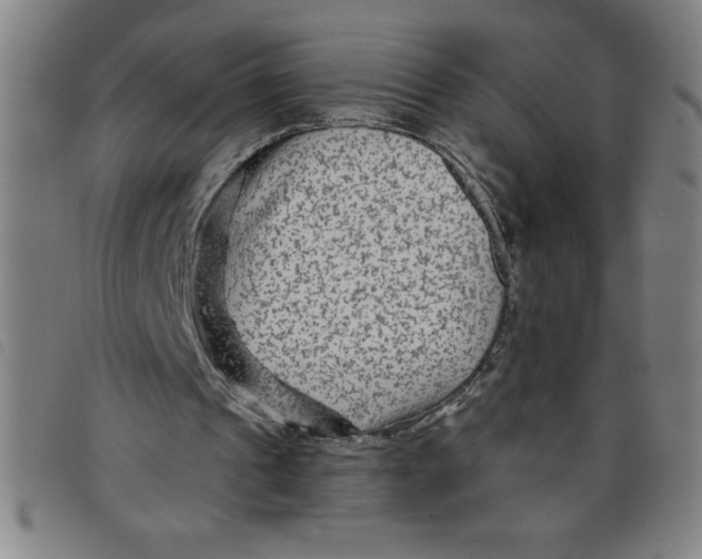 X0000097870241200804041557