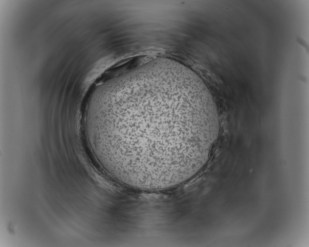 X0000097870242200804041557