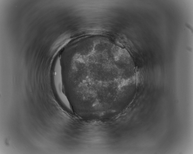 X0000097870243200804041557