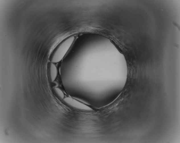 X0000097870244200804041557