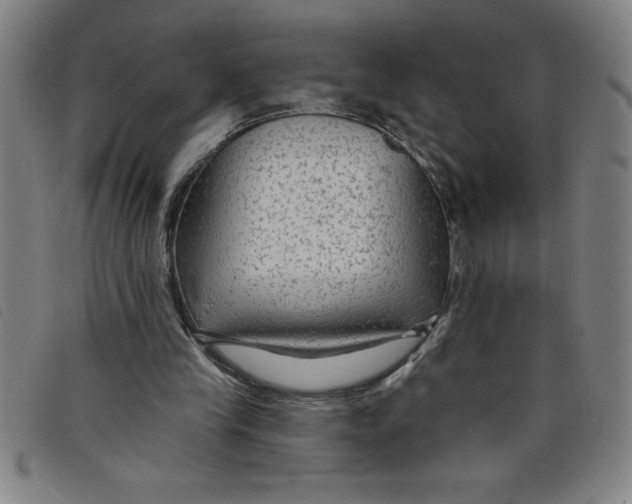 X0000097870245200804041557
