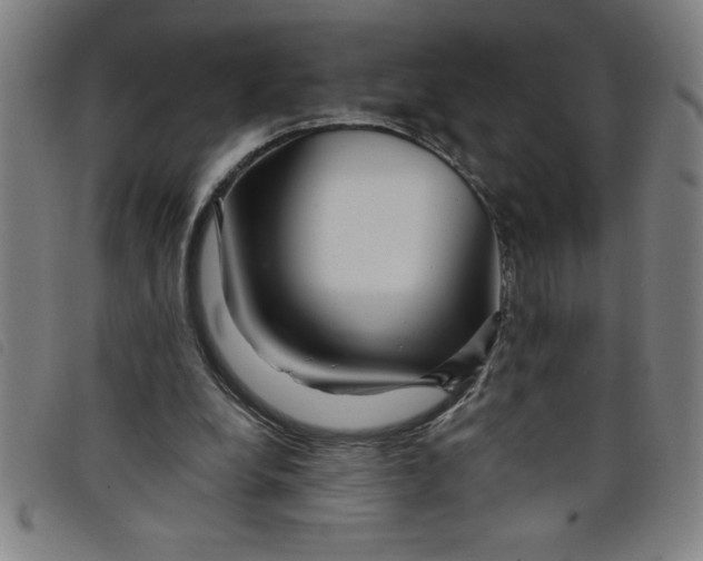 X0000097870248200804041557