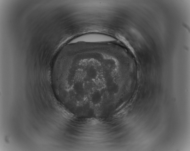 X0000097870249200804041557