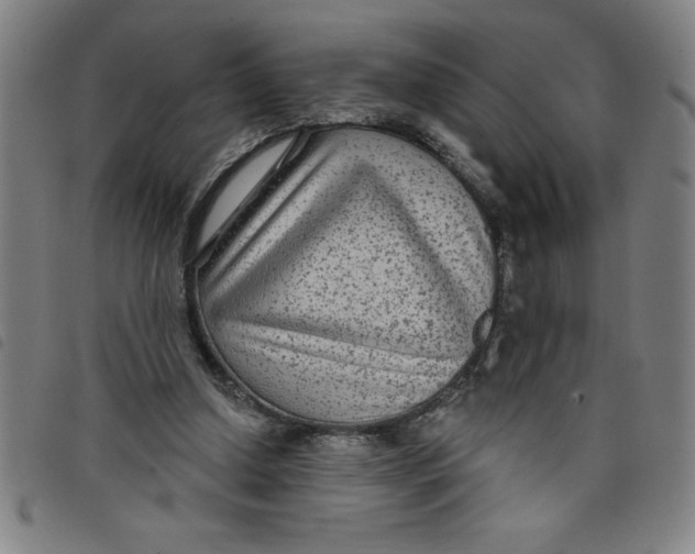 X0000097870250200804041557