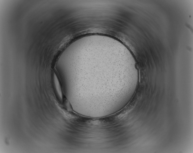 X0000097870253200804041557