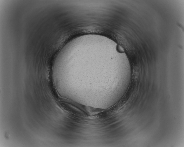 X0000097870255200804041557