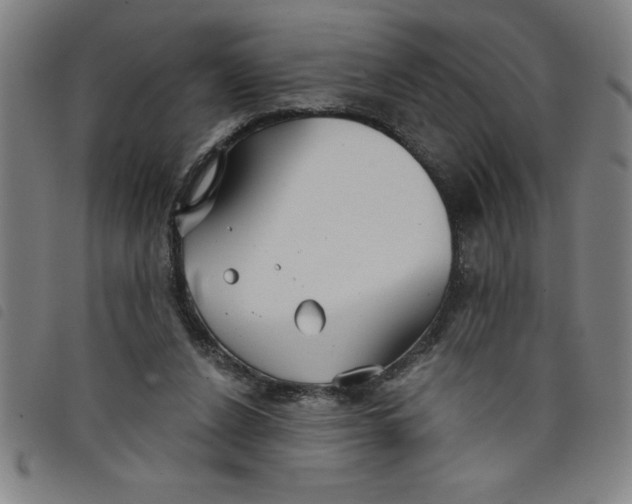 X0000097870256200804041557