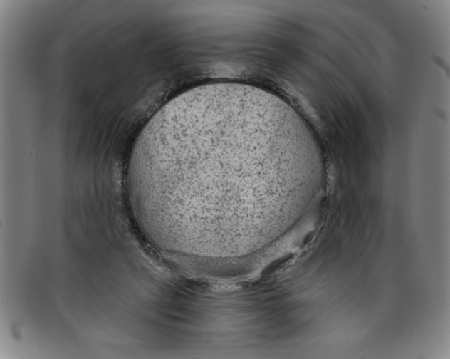 X0000097870257200804041557
