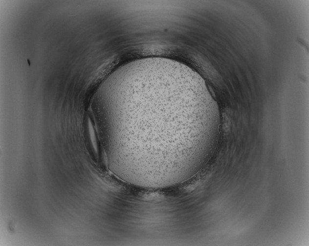 X0000097870258200804041557