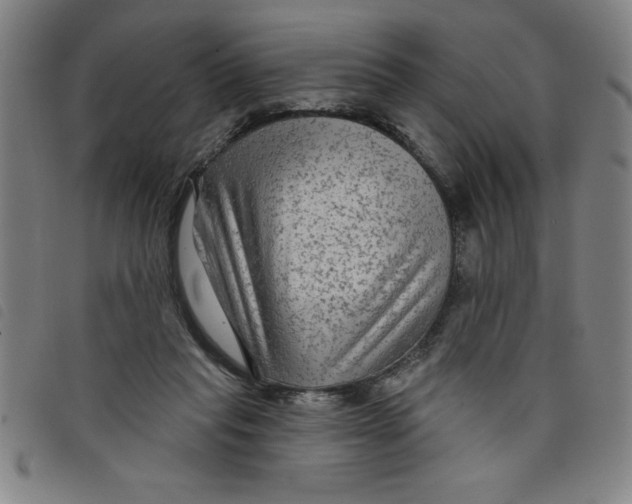 X0000097870261200804041557