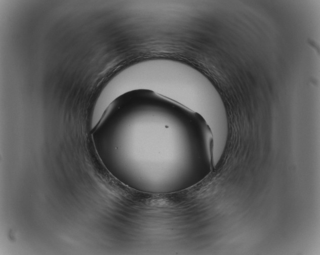 X0000097870262200804041557