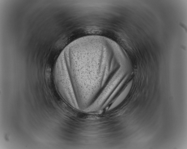 X0000097870263200804041557