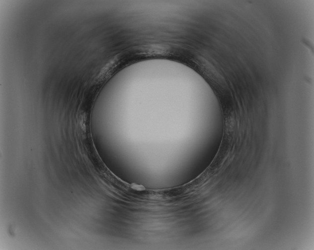 X0000097870264200804041557
