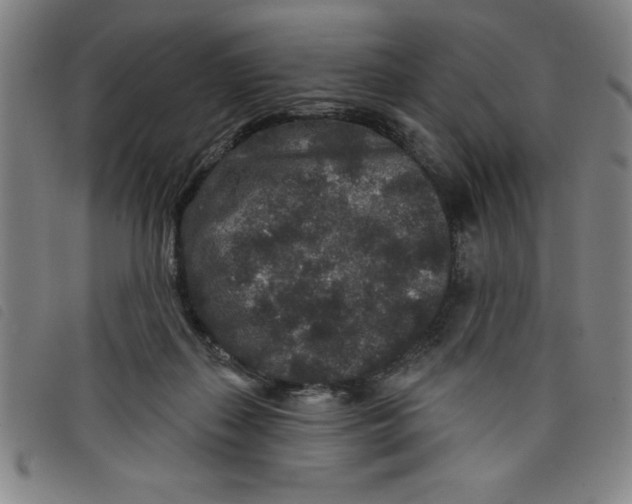 X0000097870267200804041557