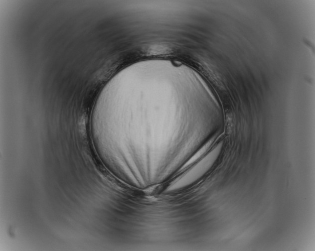 X0000097870269200804041557