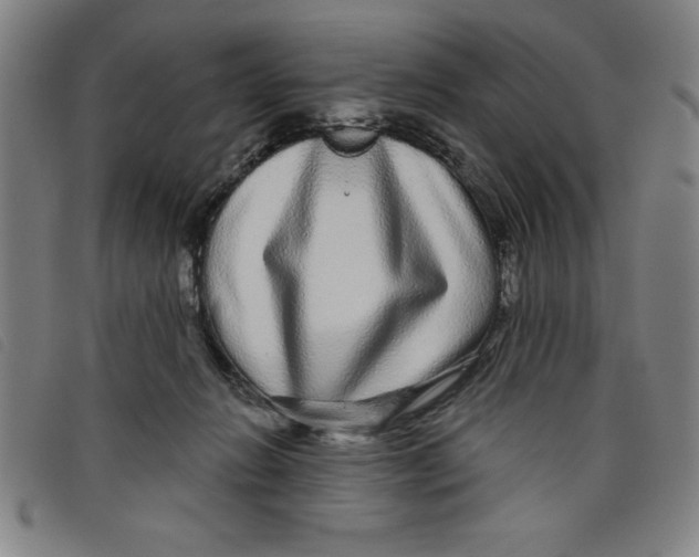 X0000097870270200804041557