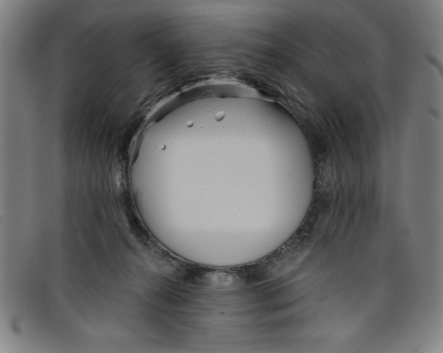 X0000097870272200804041557