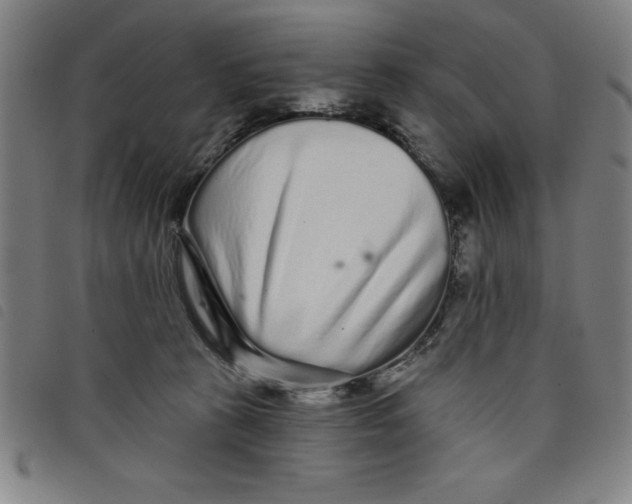 X0000097870273200804041557