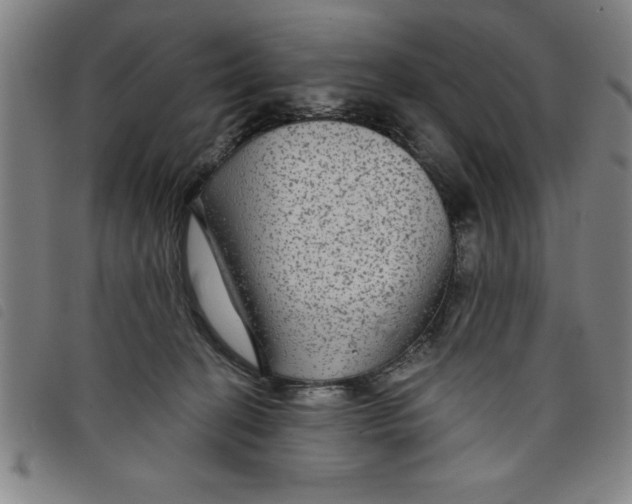 X0000097870274200804041557